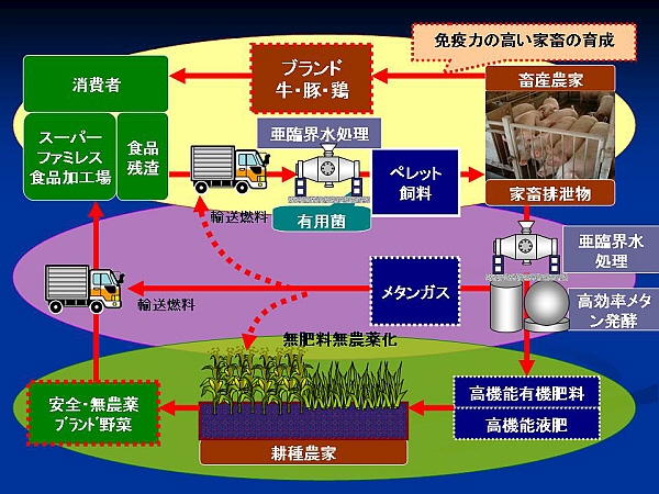 画像の説明